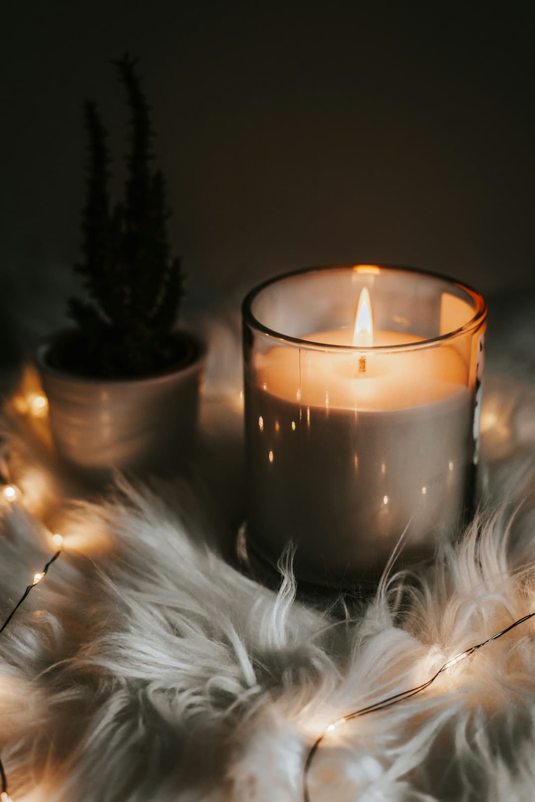 Soy Candle, Fig and Cedar